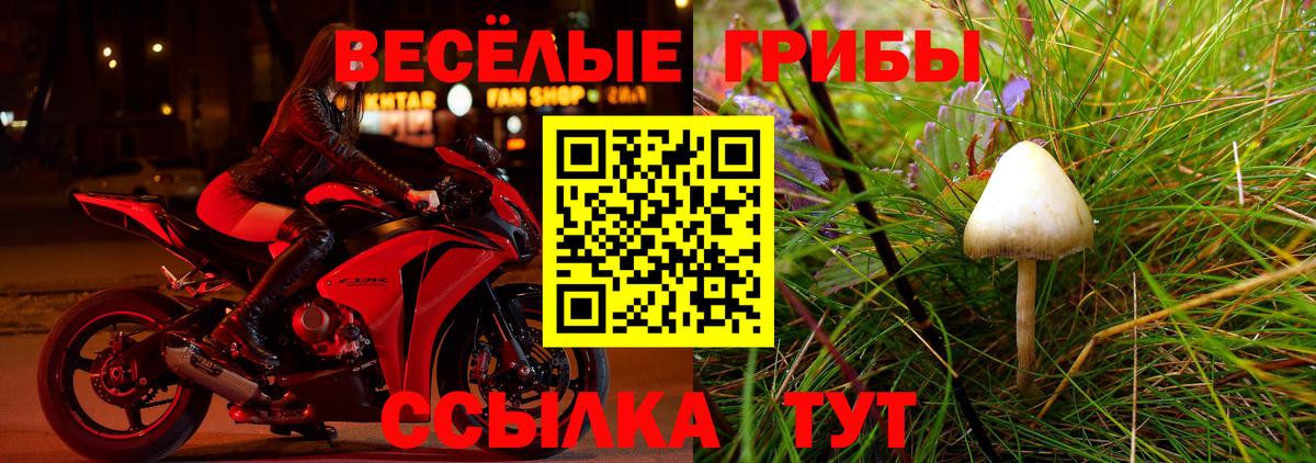 Псилоцибиновые грибы GOLDEN TEACHER  Вход с VPN  Владикавказ 