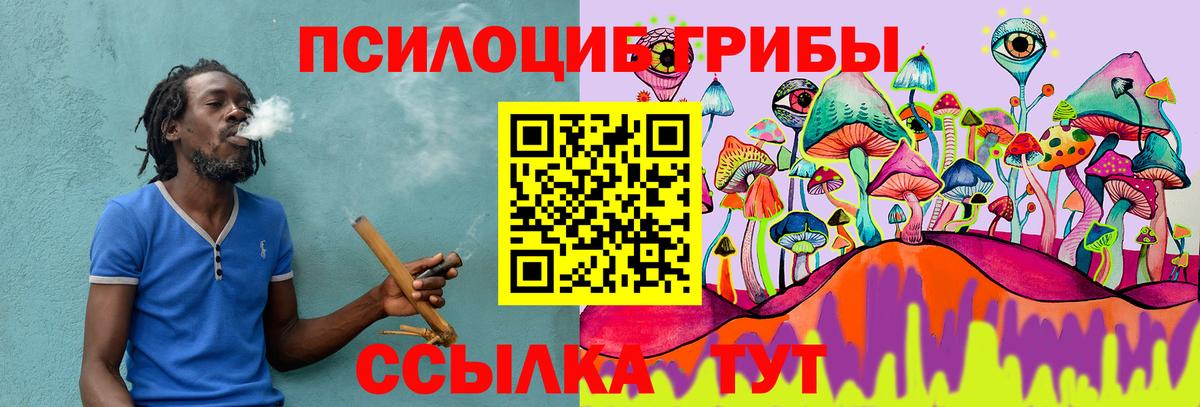 Псилоцибиновые грибы GOLDEN TEACHER Владикавказ